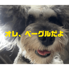 rei_20260506013415