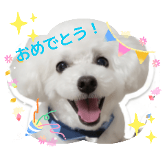 Ron.kun