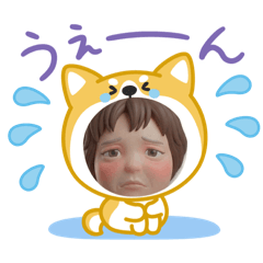 chiko_20260506114721