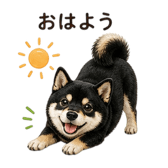 Ran_20260506114915