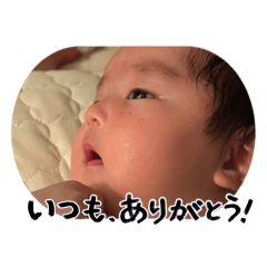 finn_20260505221250