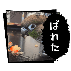 Riona_20260506120443