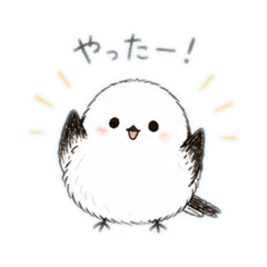 Ta-ko_20260506121124