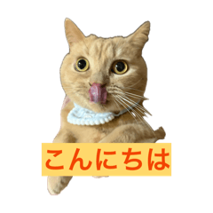 HSK STUDIO_20260506121113