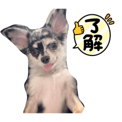 Kenta_20260506005512