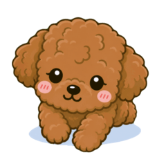 BENI_20260506010818