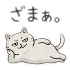 yumo_20260506011946