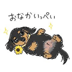 nijichan_20260506020223