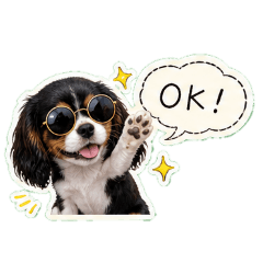 骑士查理王小猎犬.Qoo