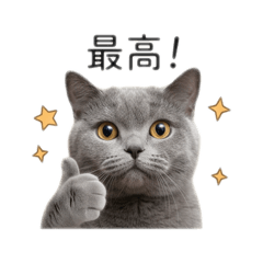 uchinomarutansupanpu
