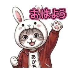 akachin1027