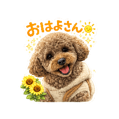 Edy_20260506113440