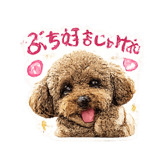 Edy_20260506114647