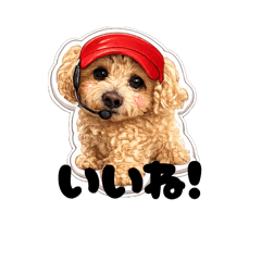 mopooh_20260506122546