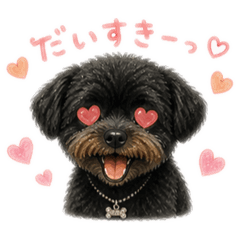 Nita_20260506123407