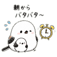 Ta-ko_20260506123341