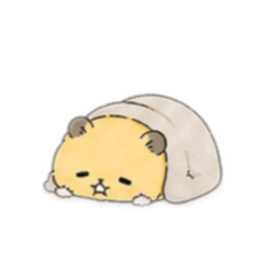 YuruLabo_20260506120608