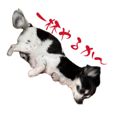 Genkaida_20260506123952