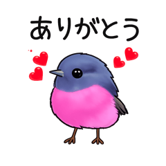 Cute Wild Bird Stickers Vol.5