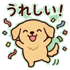 Stubby Golden: Tiny & Fluffy