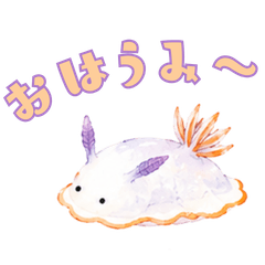 Cute Pastel Nudibranch Stickers