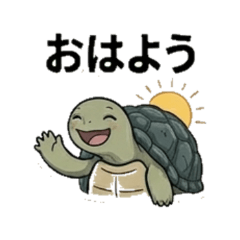 tortoise kametan2