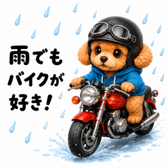 Moto Poodle Ride Days