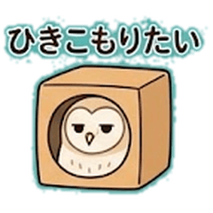 Unmotivated Barn Owl: Chill Life