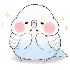 Moffuri Parakeet Polite Feelings 2