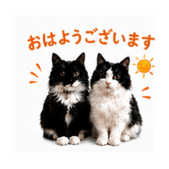 Momo & Kuro Polite Greeting Stickers