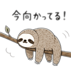 -Lazy Sloth Daily Life-