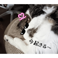 kotokoto_20260506125811