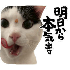 YUIKO_20260506123448