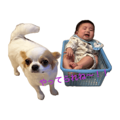 SHOU_20260506130007