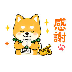 yushi harusaka_20260506130446