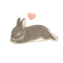 chiroru_dayo