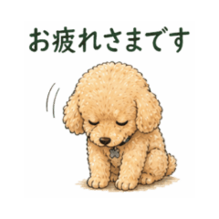 Toy Poodle Work Stickers NanoLife
