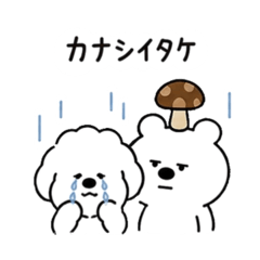 Komugi_20260507110809