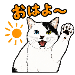 Pon the Shy Window Cat Stickers