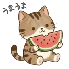 A Brown Tabby's Musings 2