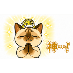 Kaikun and Buchan 3