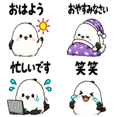 Mochikoro Shimaenaga Chat 40