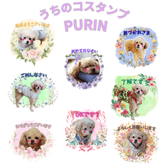 mysweetPRIN
