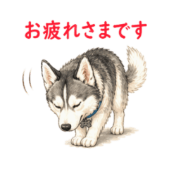 Siberian Husky Dog WorkStickers NanoLife