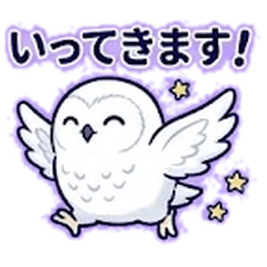 Fluffy Snowy Owl: Daily Life