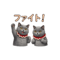 Chubby Gray Cat's Daily Greetings
