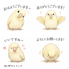 Cream Parakeet Work Stickers