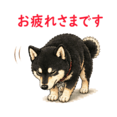 Black Shiba Inu Work Stickers NanoLife