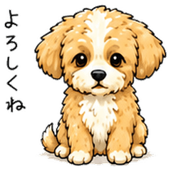 Maltipoo Latte Vol1