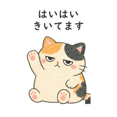 Sleepy Grumpy Calico Cat